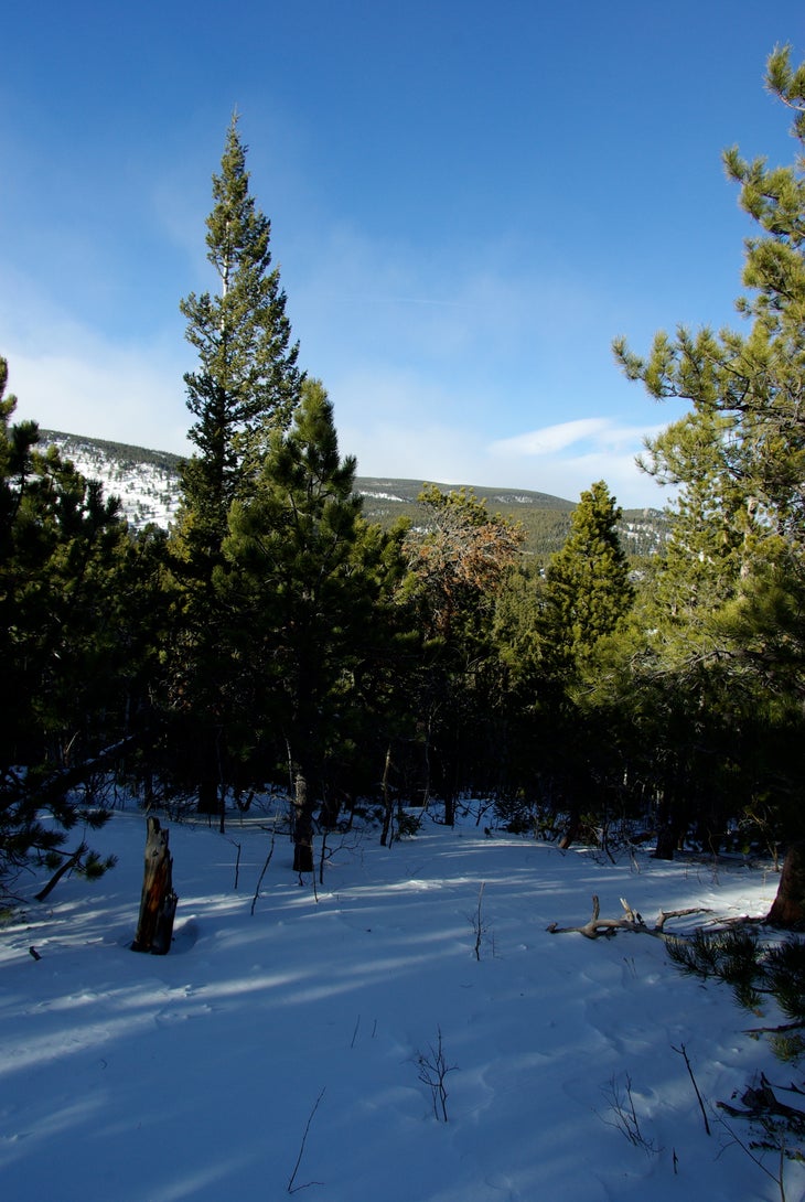 Trail Views None