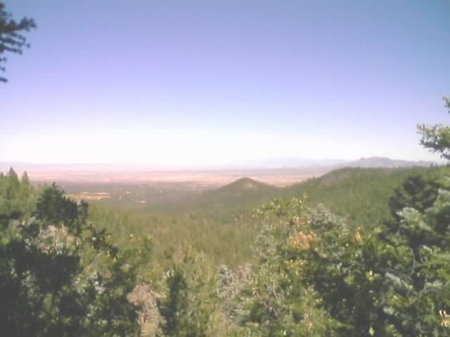 Trail views None