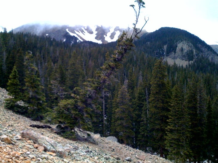Trail Views None