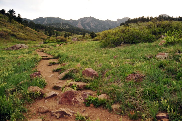 Trail Views None