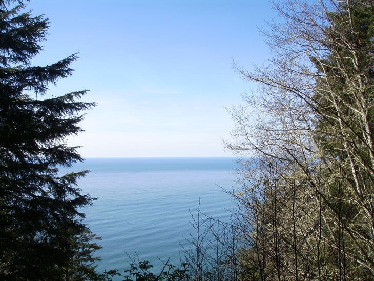 Trail Views None