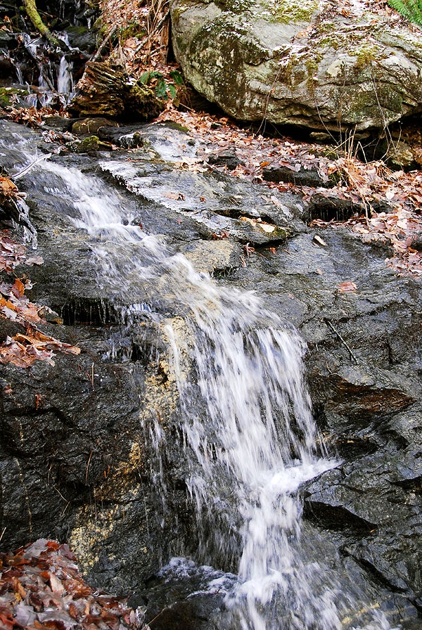 Atlanta, GA: Coosa Backcountry Loop