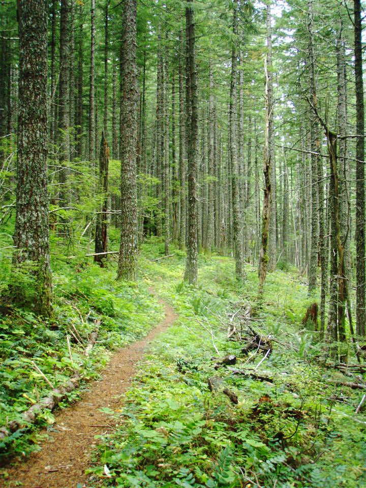 Portland, OR: Wyeth Trail to North Lake