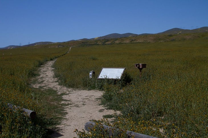Trailhead None