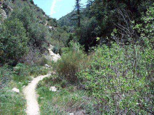 Trailhead None