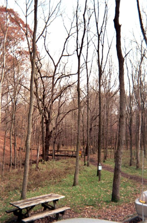 Trailhead None