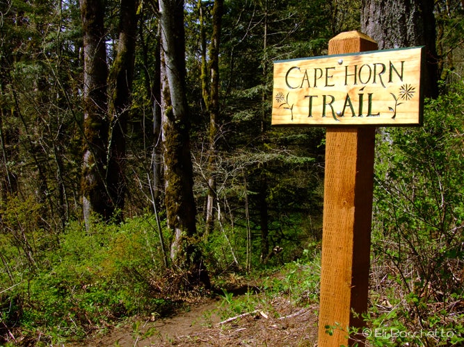 Trailhead None