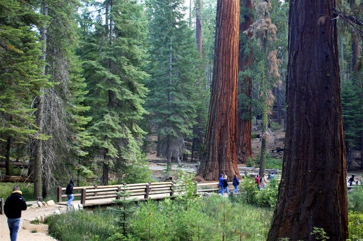 Trailhead None