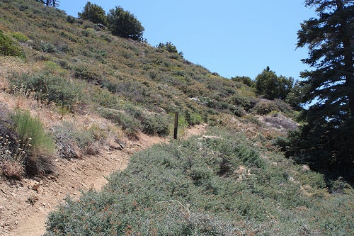 Trailhead None