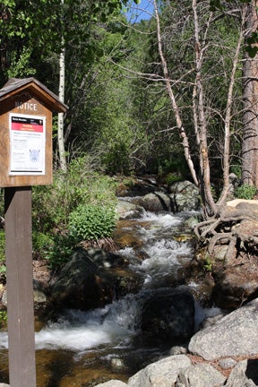 Trailhead None