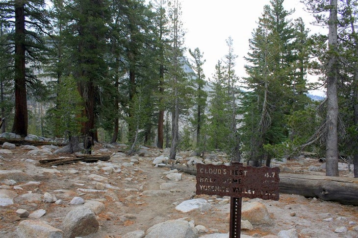 Trailmarker None