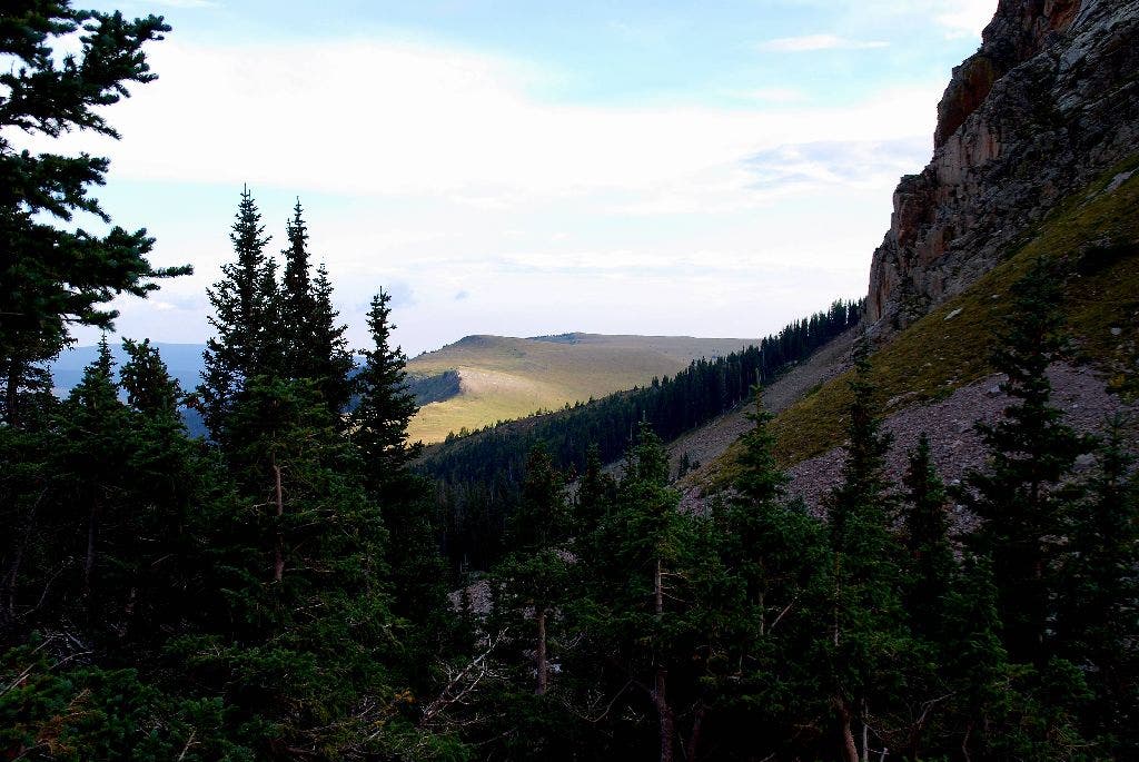 Trailriders Wall None