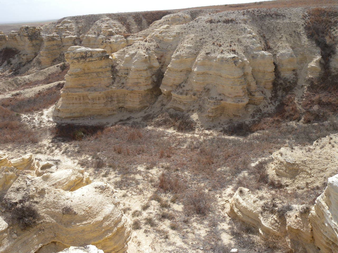 Crisscrossing trails as seen from the ridgeline of the Castle Rock loop hike. A view of beige cliffs and beige sandy trails from the ridgeline.