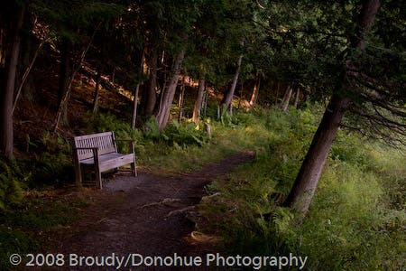 Trailside bench None
