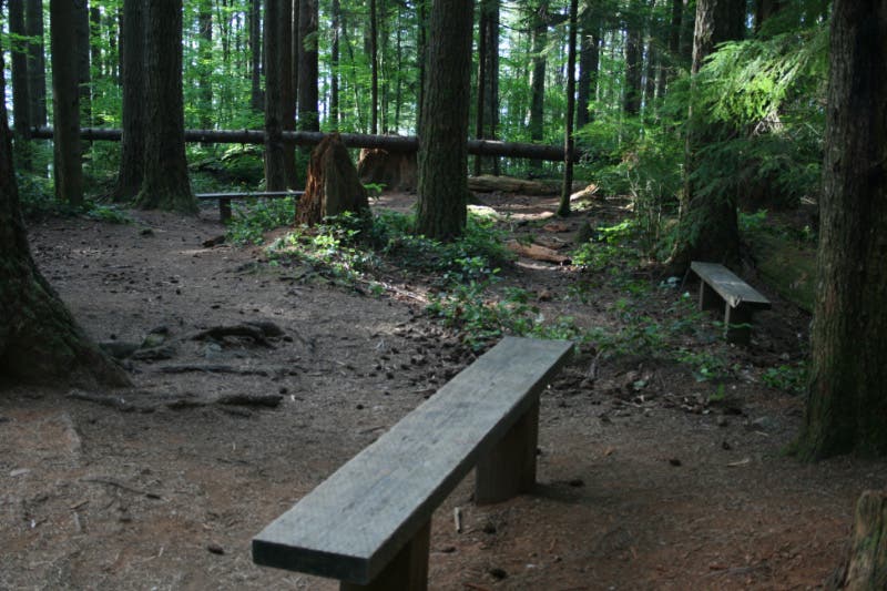 Trailside Benches None