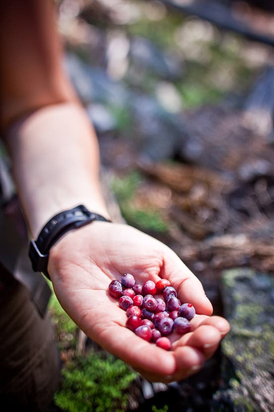 Trailside Snacks None