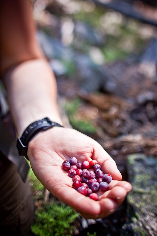 Trailside Snacks None