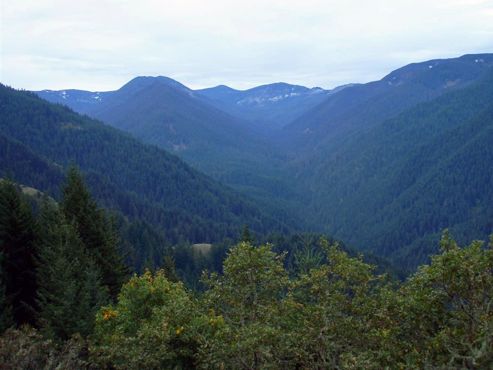 Trailside Views None