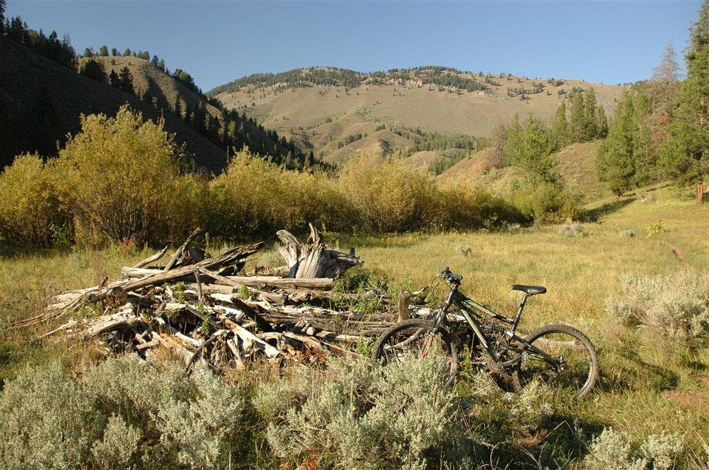 Trailside Views None