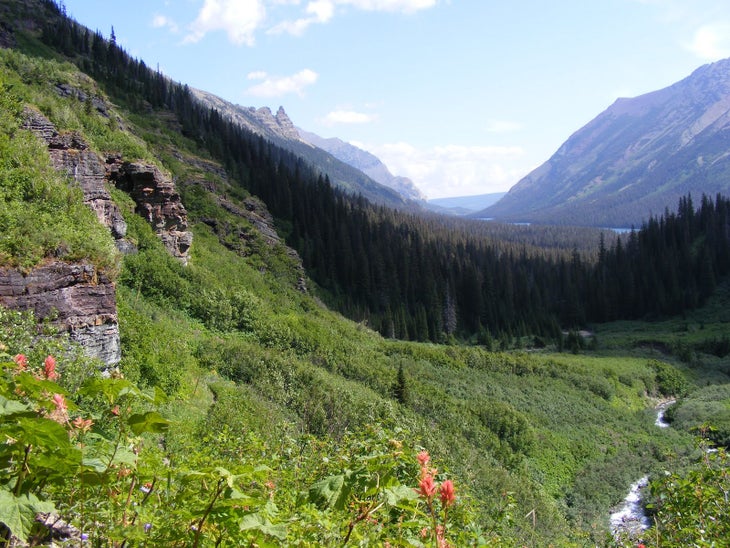 Trailside Views None