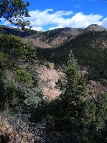 Trailside Views None