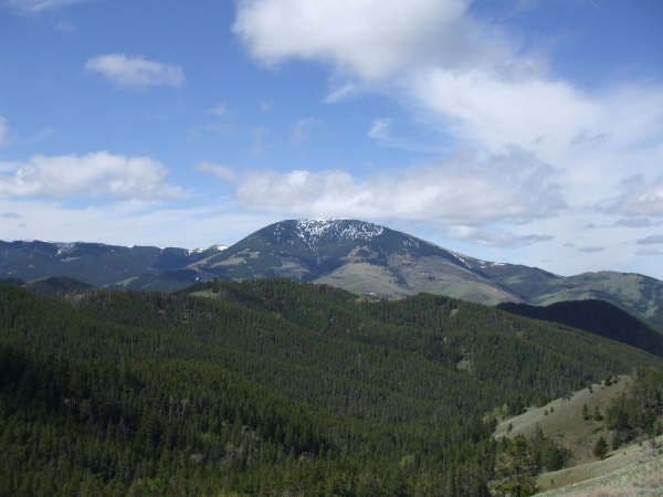 Trailside Views None