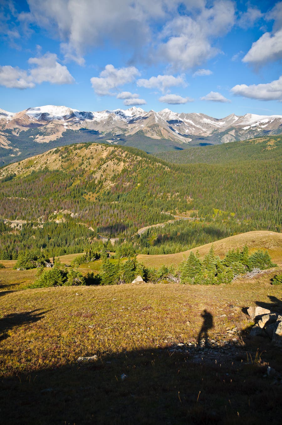 Trailside Views None