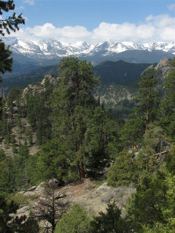 Trailside Views None