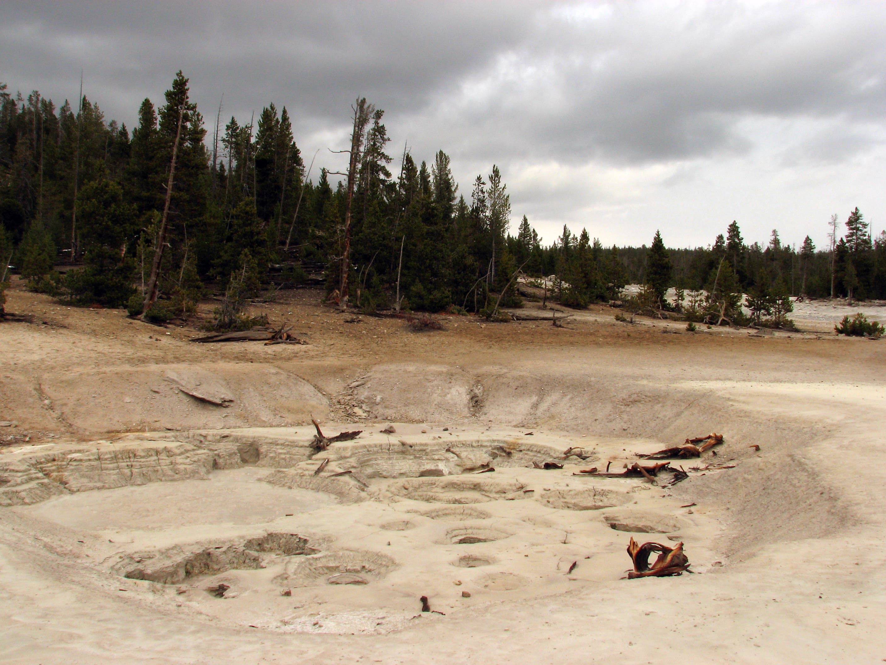 Trailside Views None