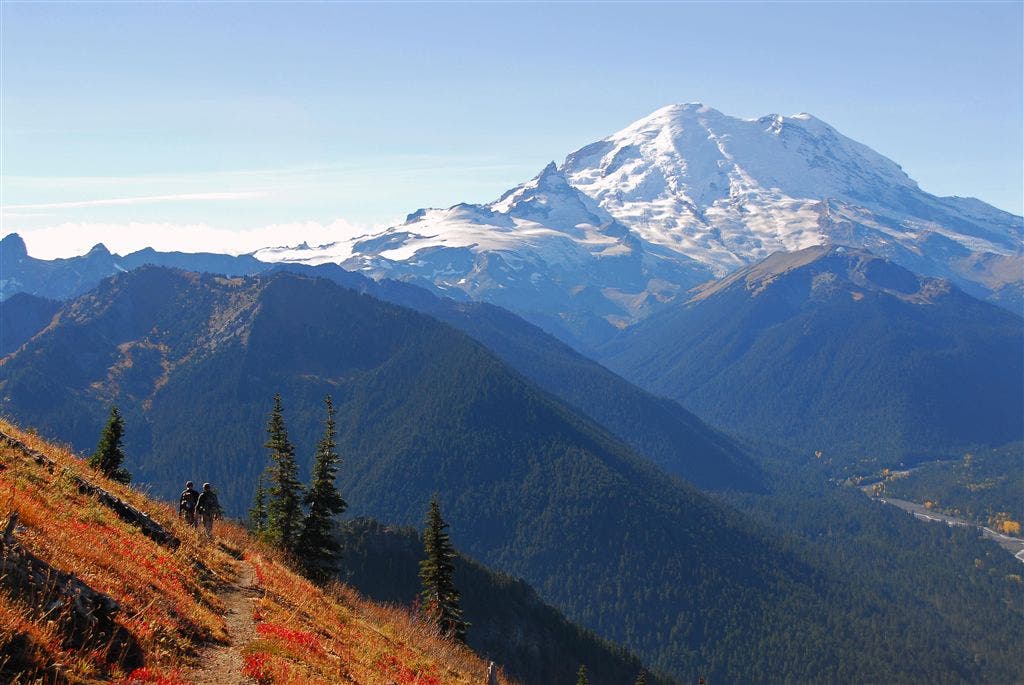 Trailside Views of Mt. Rainier None
