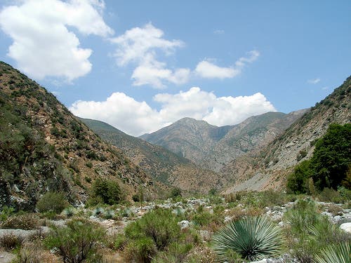 Trailside Views None