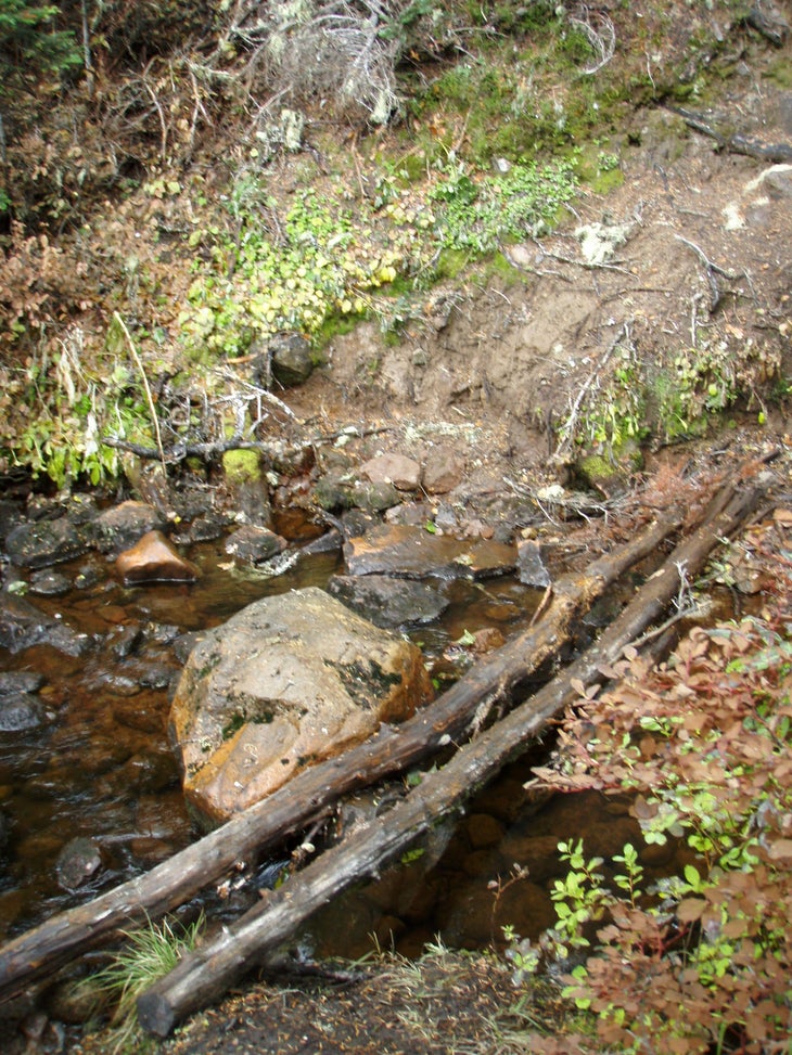 Tralhead creek None