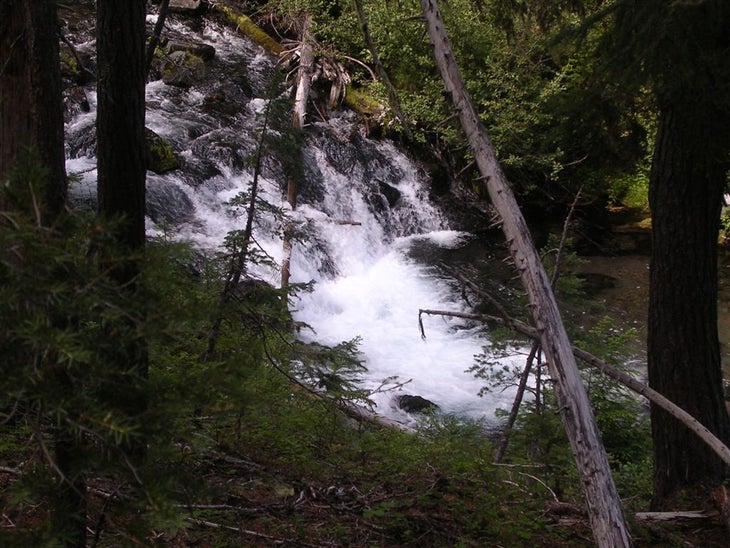 Trapper Creek None