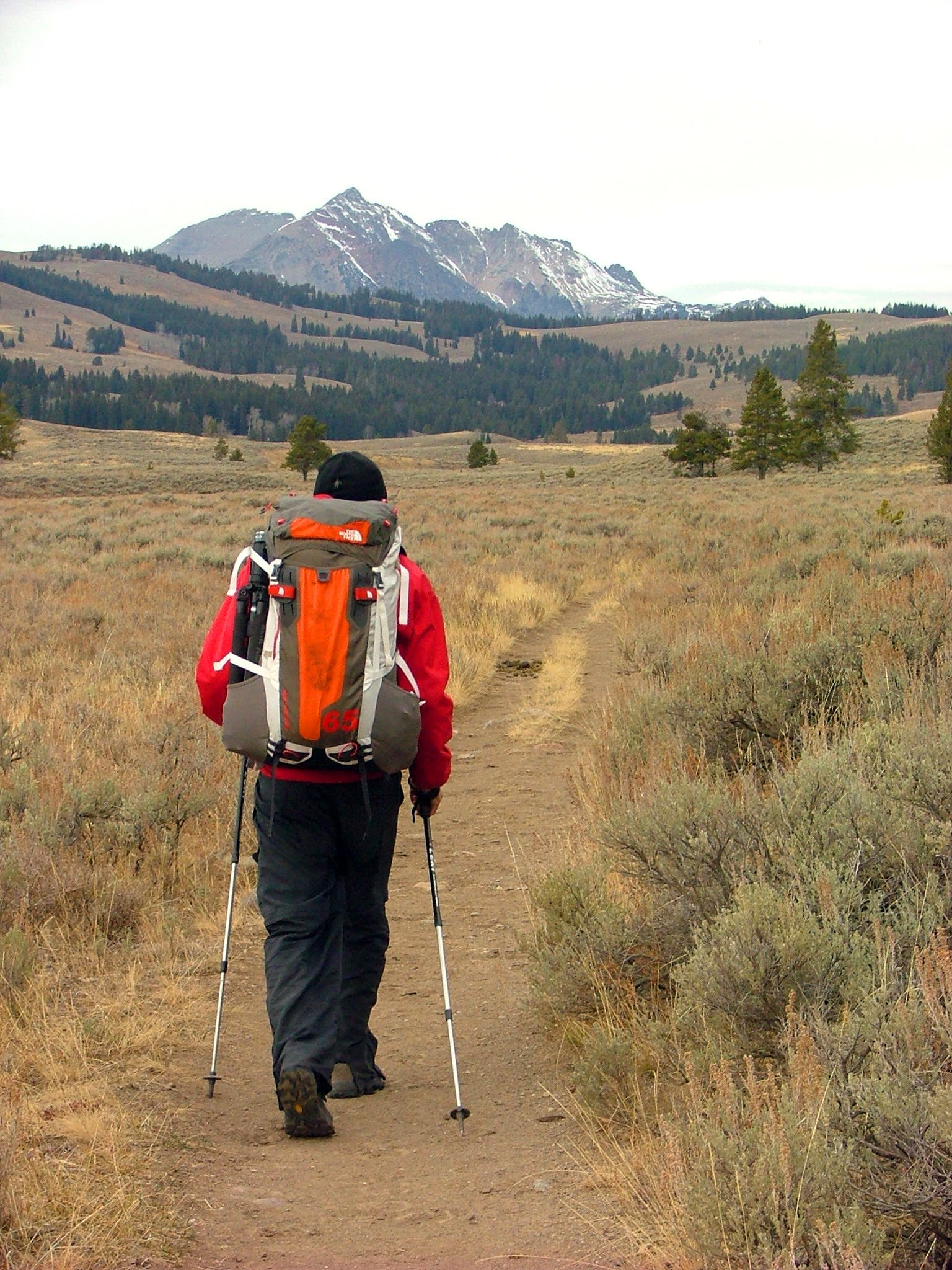 Traversing the Trail None