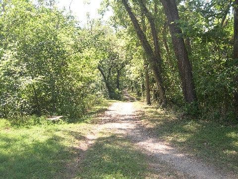 Tree-lined path None