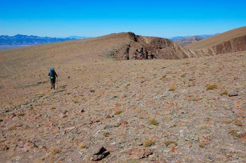 Treeless tableland None
