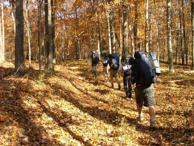 Trekking through the hollows None