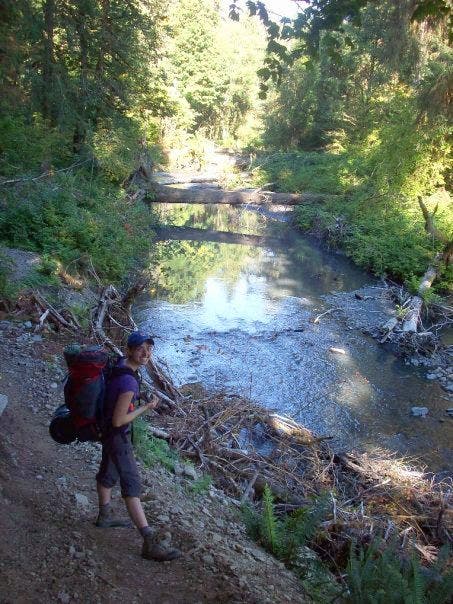 Tributary of the Hoh None