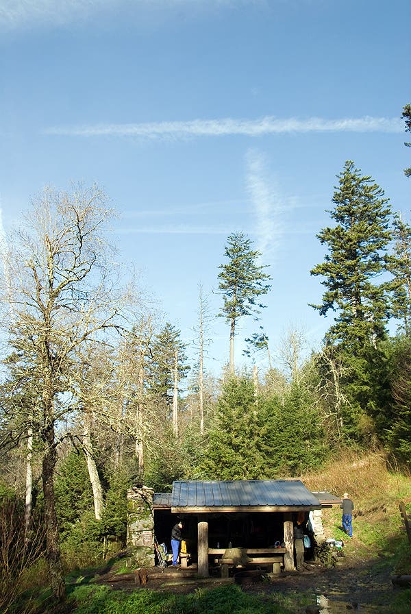 Tricorner Knob Shelter None