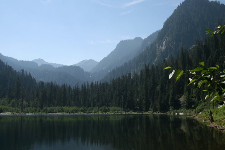 Trout Lake None