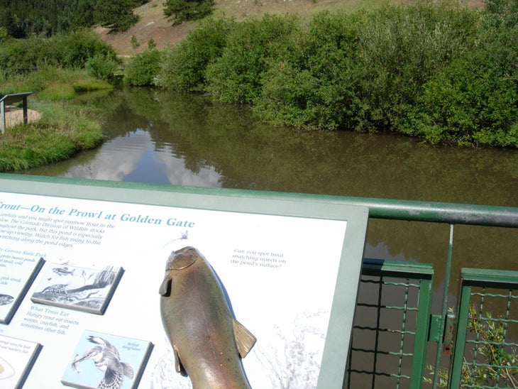 Trout Pond None