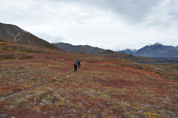 Tundra Bench None