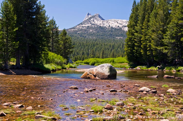 Tuolumne River and Cathedral Peak None