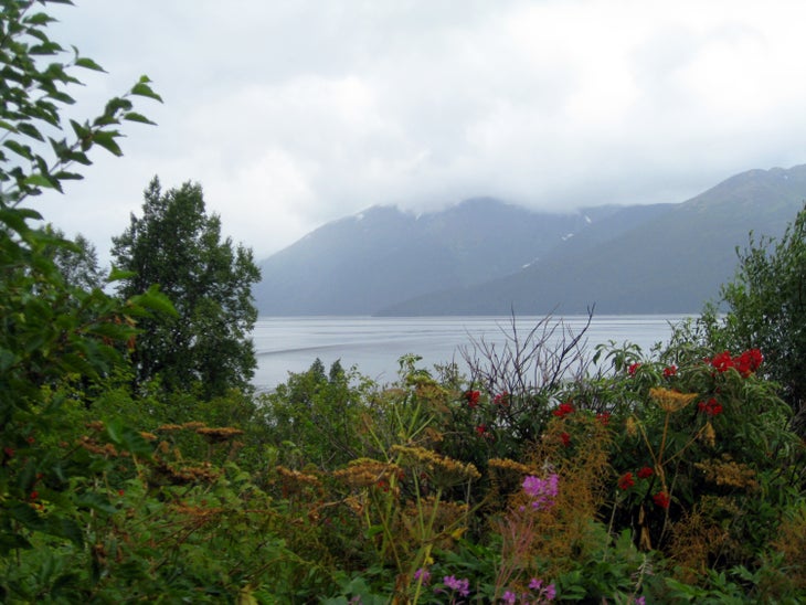 Turnagain Arm None