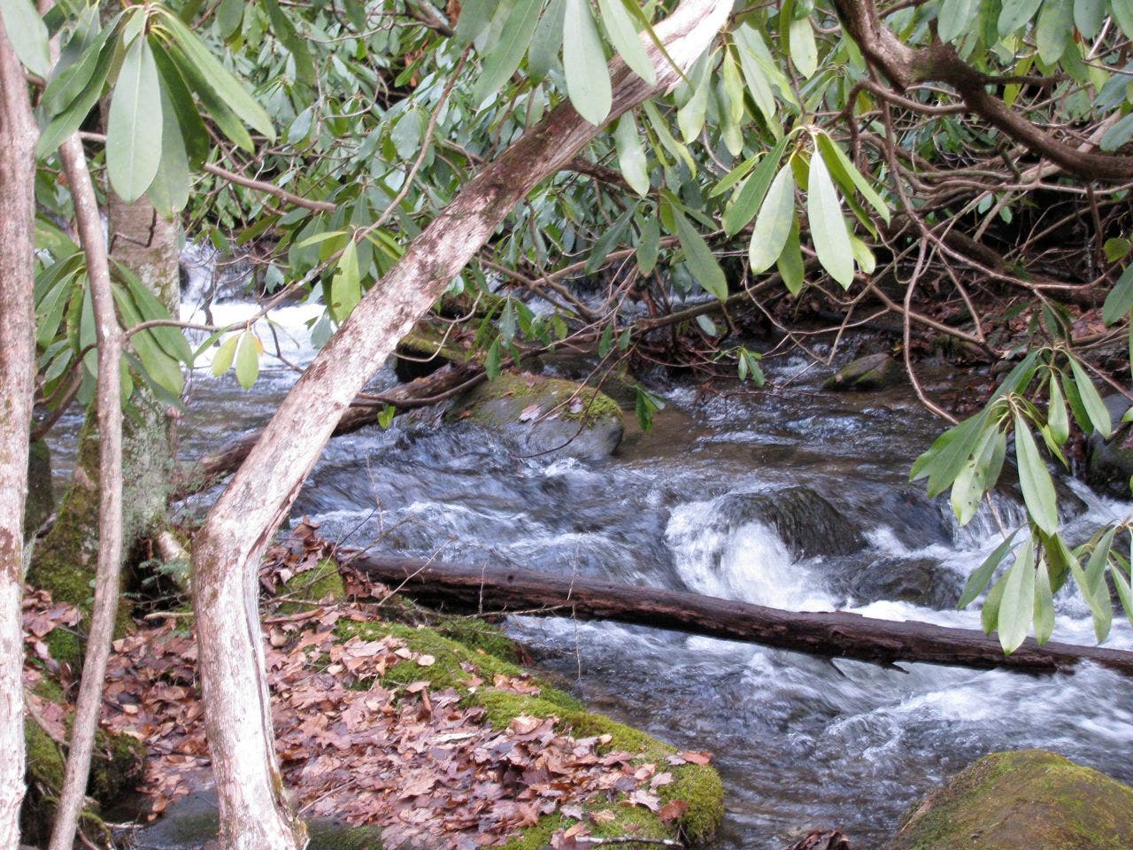 Twentymile Creek None