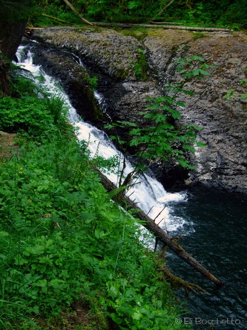 Twin Falls None