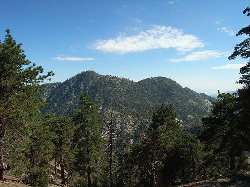 Twin Peaks View None
