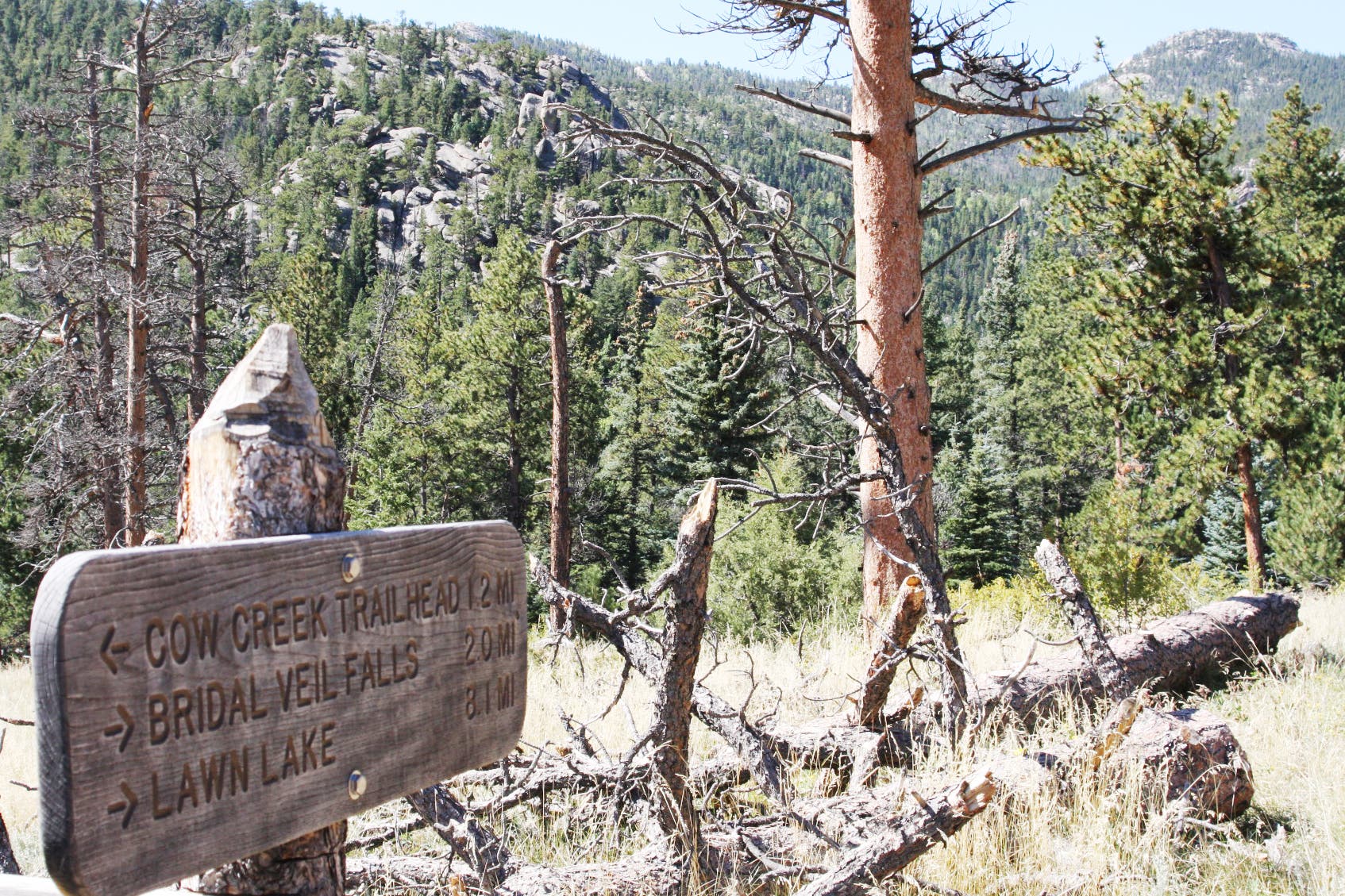 Two miles to falls None