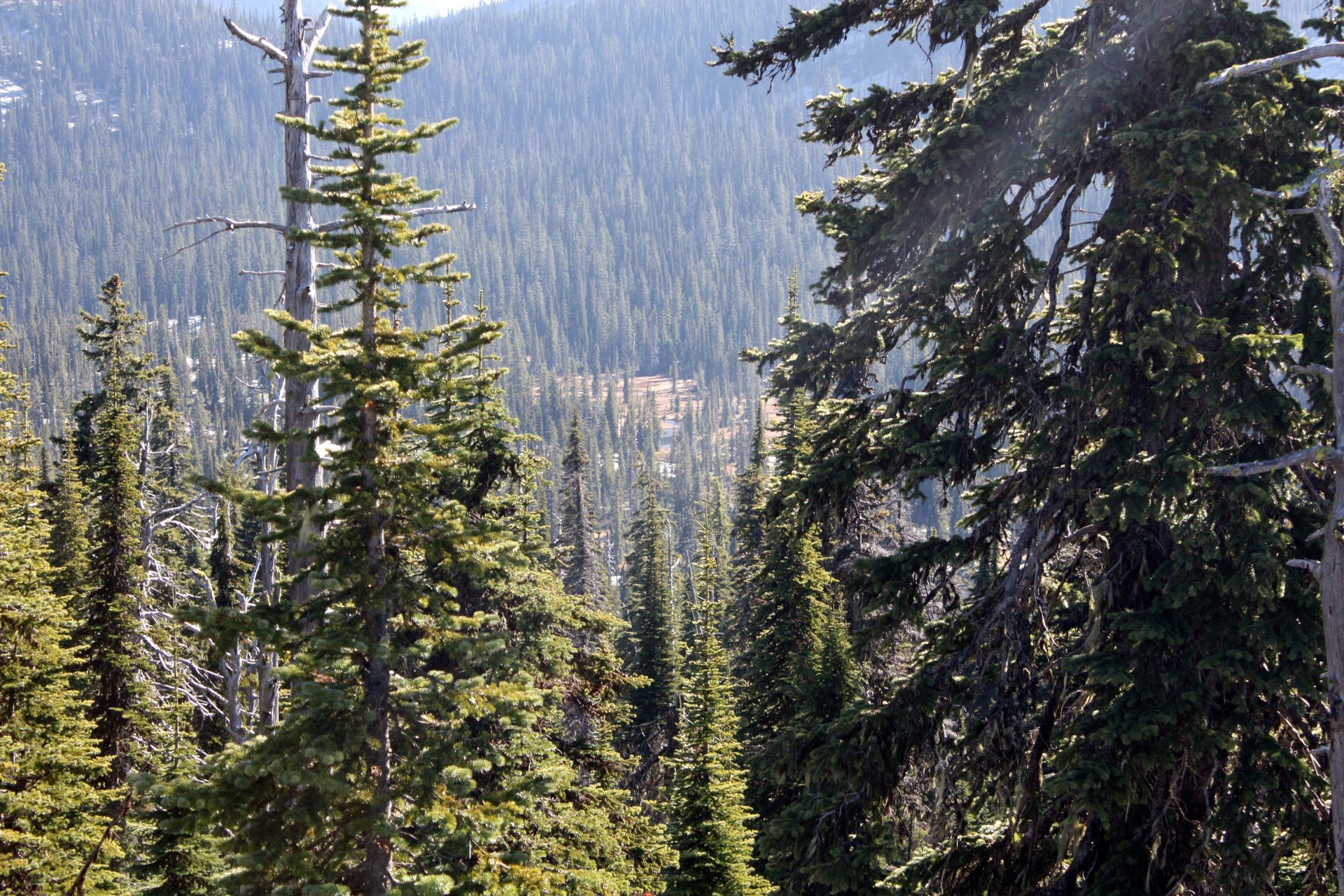Two Mouth Lakes: First Glimpse None
