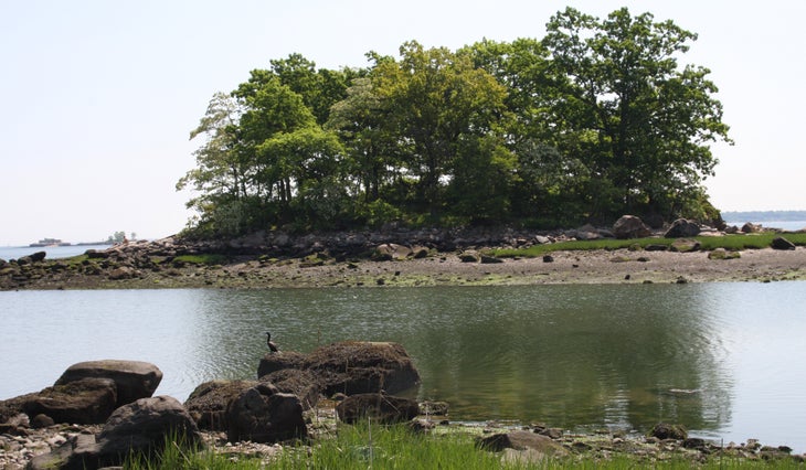 Two Tree Island None